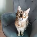 Mein  Lucky