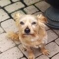 Meine süße kleine Nelly 