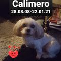 Ich vermisse Calimero sehr ????.  Spielt schön im Regenbogenland