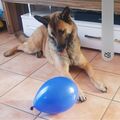 Lilly beim Spielen 
