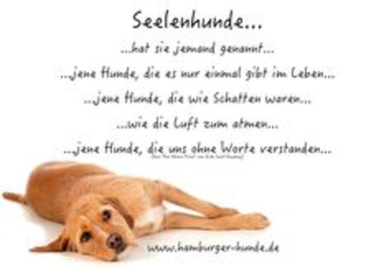 Buale Du Warst Unser Bester Freund Hast Uns Das Leben Verschonert