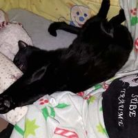 Unser Dudu Bauch