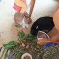 Schnubel und Hazel