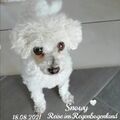 SnowyFell@outlook.de