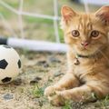 Mein Fussball ♥️