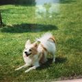 Moritz
25.02.2005 -21.02.2020