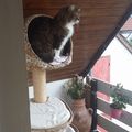 Mein Julchen - unvergessen