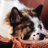 Auch hier bist du ungefähr 7. Unser Schmusebär. Hab dich lieb.