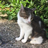 Der Kleine hat die Sonne so geliebt. Teilweise 12 Stunden.