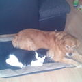 Lina mit Kater Puschel 