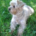 Unser lieber Jacki❤