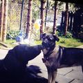 Benji mit Sina im ♥️