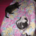 Lilly Kind mit Tigger