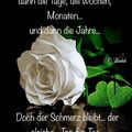 Dem Auge so fern, dem Herzen ewig nah Frodo ❤️
