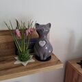 Jimmy hat jetzt wieder seinen Platz bei uns zuhause. 