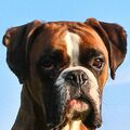 Unser Floyd 