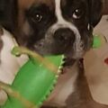 Tucker...Geico...