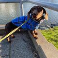 Oskar 
