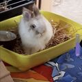 In Erinnerung an Eric 