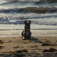 Ostsee