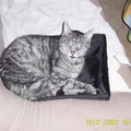 meine Laptoptasche ist wieder besetzt...