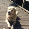 Piet ❤️ 23.10.2020