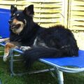 Lucy