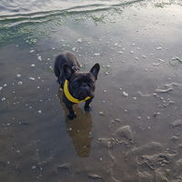 Amy und das Wasser... du hattest soviel Spaß
