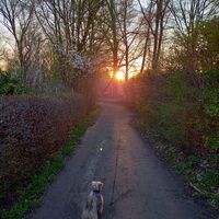 Du gehst zum Licht.