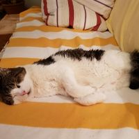 Auf dem Sofa