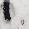 Der letzte gemeinsame Schnee in unserem Garten