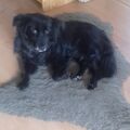 Tito