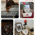 Du fehlst uns ????????♥️