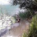 Unser letzter Schwimmsommer 2021