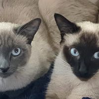 Keno und Liam, zwei Brüder , ein Herz.