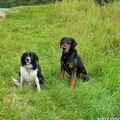 Nelly, verst. 01.11.2017 u.
Benny, verst. 19.06.2010