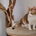 Das ist Maya