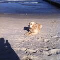  Piet ❤️ am Strand von Bansin / Usedom
