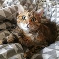 ♥️ mein Sonnenschein ♥️