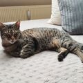 Unsere geliebte Lucy