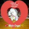 ❤❤❤☁