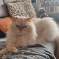 Mein Muffin 