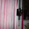 Ich habe mich versteckt