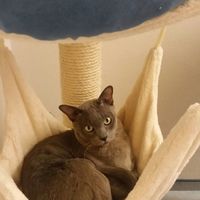 Leopold, beim Abhängen