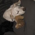 Neo und Balou 