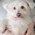 Unser geliebter Samy ♥️⭐♥️