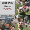 Miss you.....alles ist anderst ohne dich...besonders für Robby..