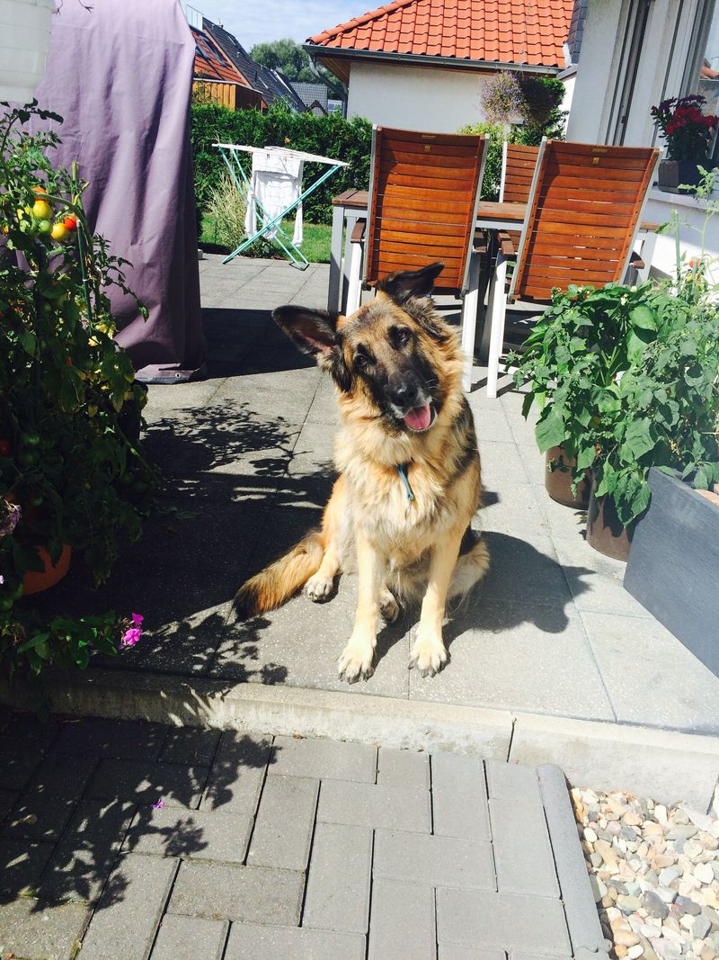 Und wenn du gehst geht nur ein teil von dir