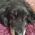 Petra und Blacky 