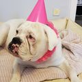 Dein 8. Geburtstag